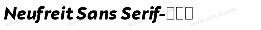 Neufreit Sans Serif字体转换